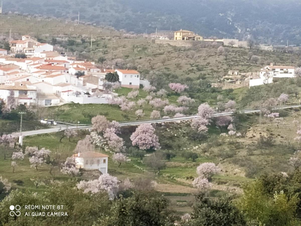 Tahal Casa La Colina Mandarina II Casa De Maderaヴィラ エクステリア 写真