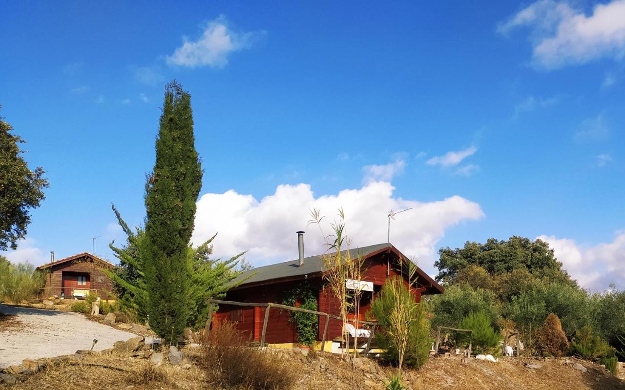Tahal Casa La Colina Mandarina II Casa De Maderaヴィラ エクステリア 写真