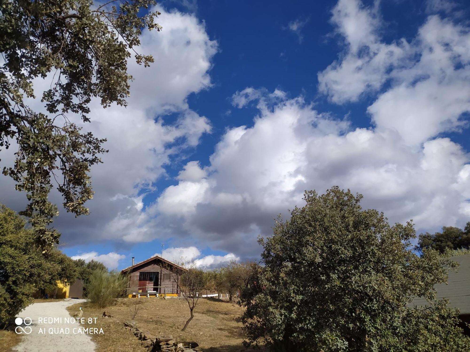 Tahal Casa La Colina Mandarina II Casa De Maderaヴィラ エクステリア 写真