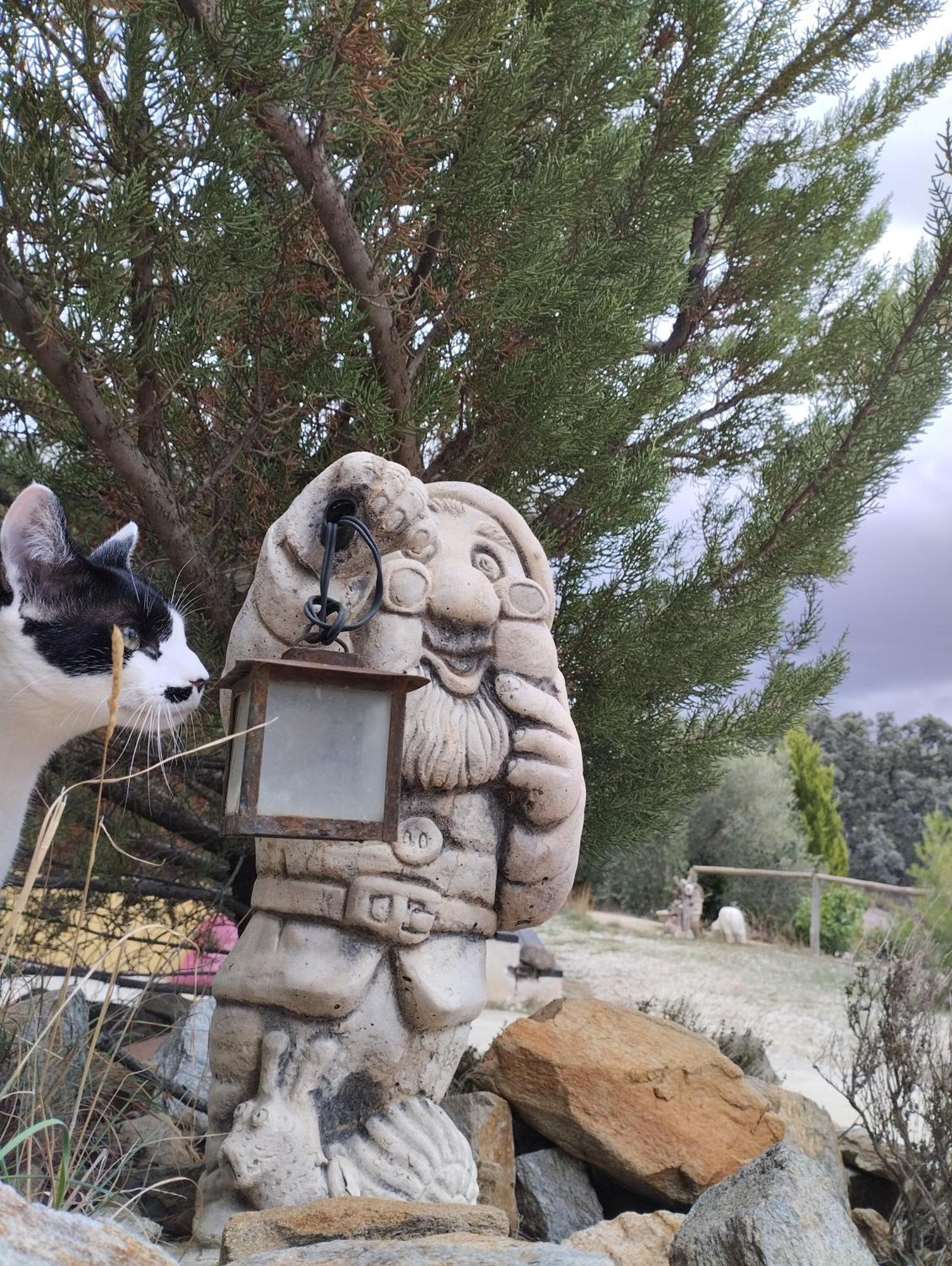 Tahal Casa La Colina Mandarina II Casa De Maderaヴィラ エクステリア 写真